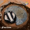 Lien vers: https://podcast.ausha.co/a-travers-leurs-yeux/la-blairelle-europeenne